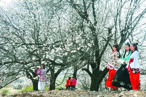 维多利亚集团全球总部 · 高端商务